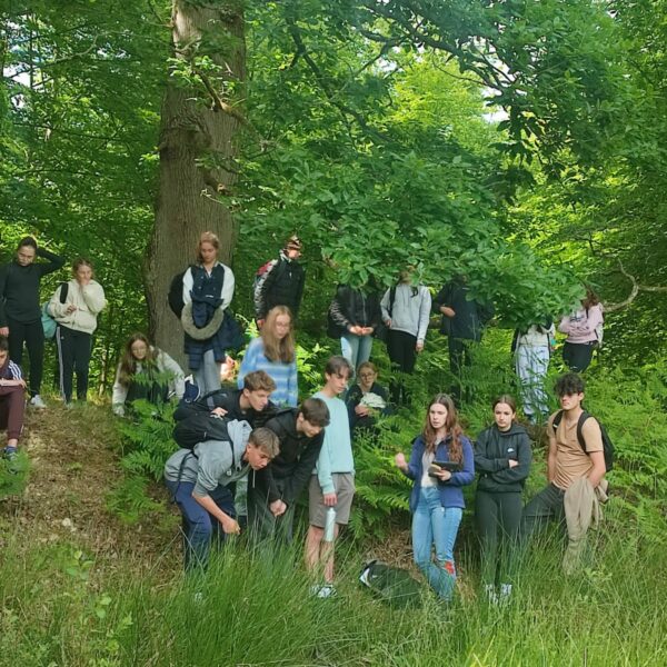 PHOTO-2025-05-20-14-14-23_5