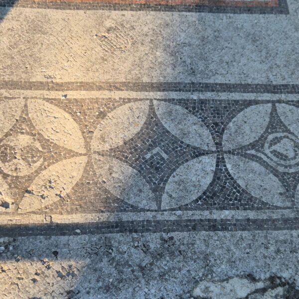 PHOTO-2025-10-17-18-46-18_2