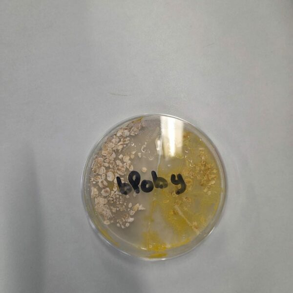 PHOTO-2025-11-17-15-29-09