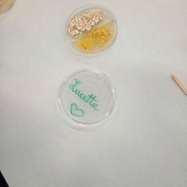 PHOTO-2025-11-17-15-29-09_1