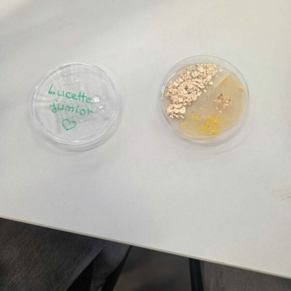 PHOTO-2025-11-17-15-29-09_2