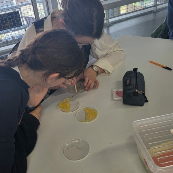 PHOTO-2025-11-17-15-29-09_3