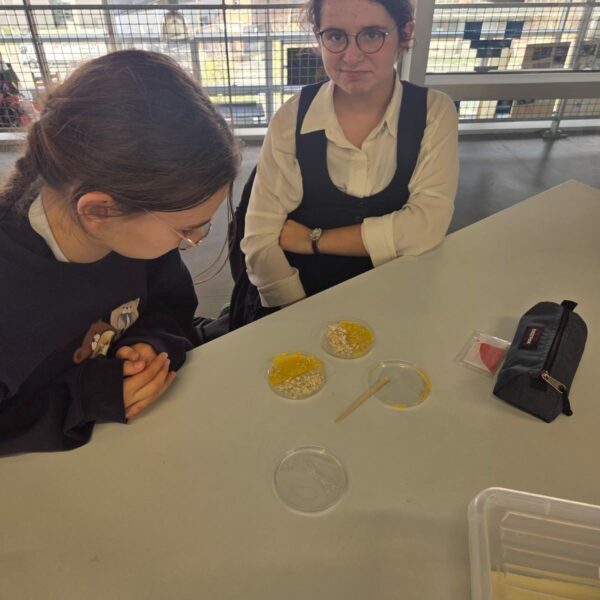 PHOTO-2025-11-17-15-29-09_4