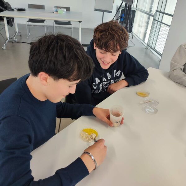 PHOTO-2025-11-17-15-29-10