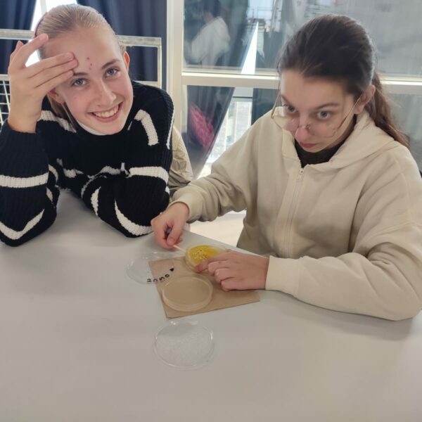 PHOTO-2025-11-17-15-29-11 - Copie