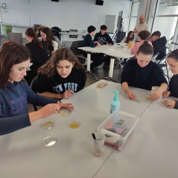 PHOTO-2025-11-17-15-29-11_1