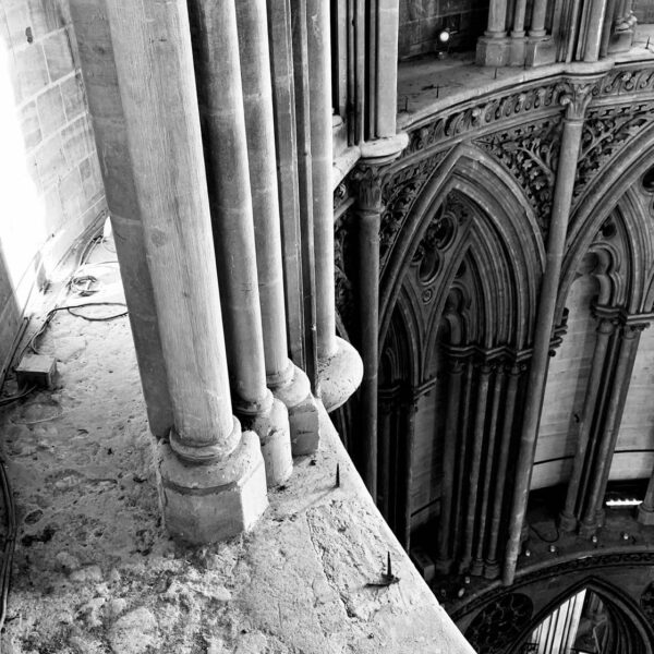 3e973bda-1f6b-48ef-ab9b-f83049ba84df