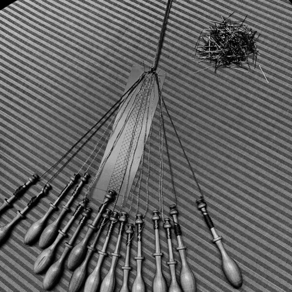 42e369e0-8ecf-4f1a-9812-1dfb697d8245