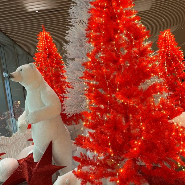 PHOTO-2026-01-05-09-29-46_12