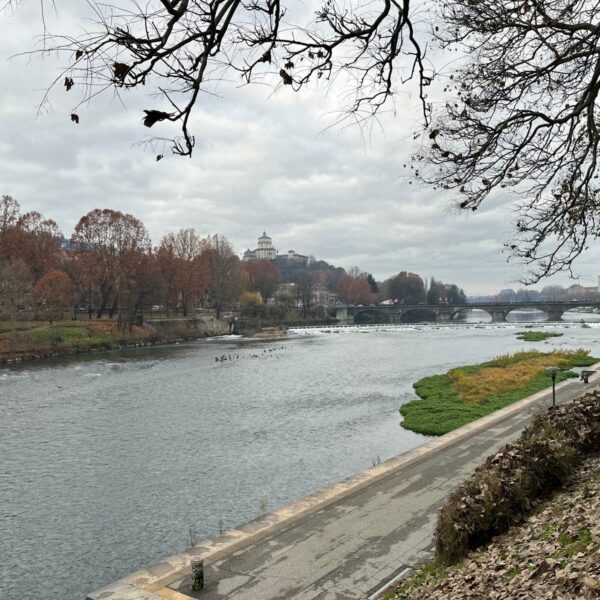 PHOTO-2026-01-05-09-29-46_14