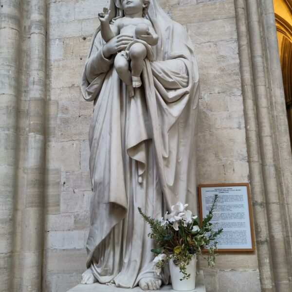 PHOTO-2026-02-09-14-15-29_2