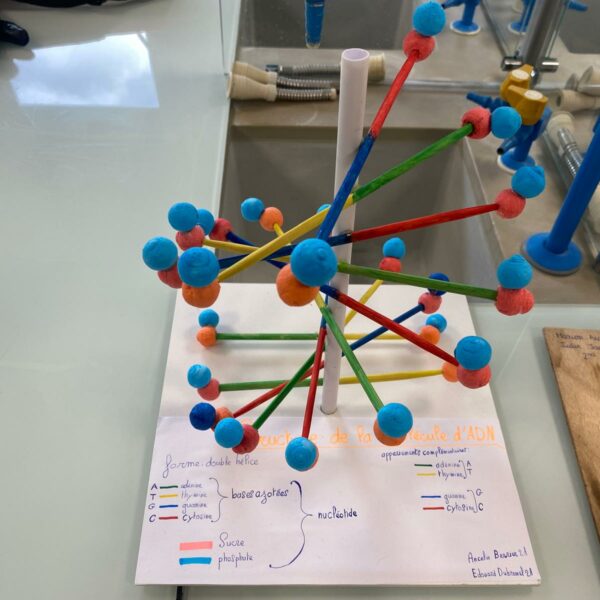 PHOTO-2026-03-16-12-54-49