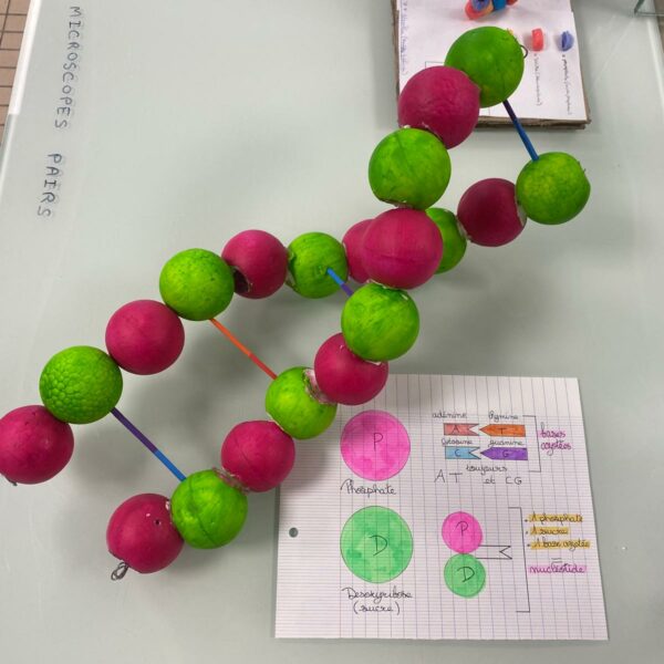 PHOTO-2026-03-16-12-54-49_1