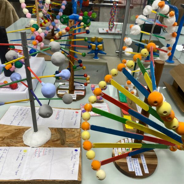 PHOTO-2026-03-16-12-54-49_10