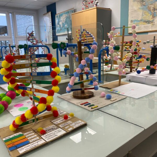 PHOTO-2026-03-16-12-54-49_11