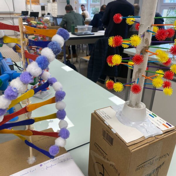 PHOTO-2026-03-16-12-54-49_12