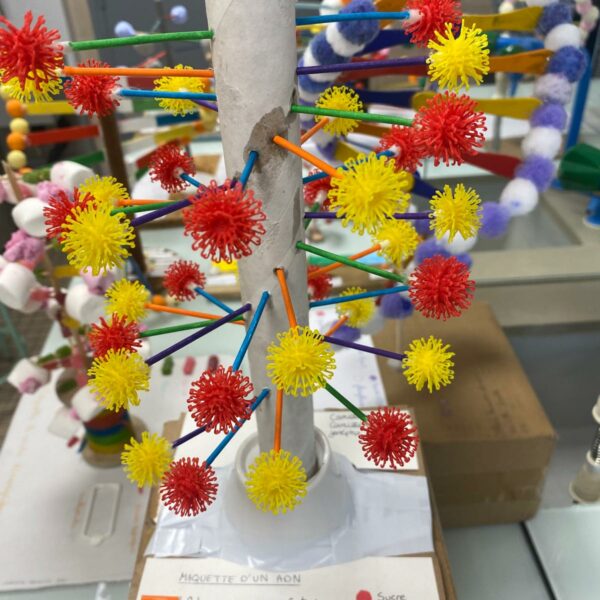 PHOTO-2026-03-16-12-54-49_3