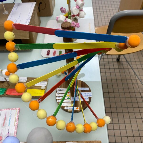 PHOTO-2026-03-16-12-54-49_4