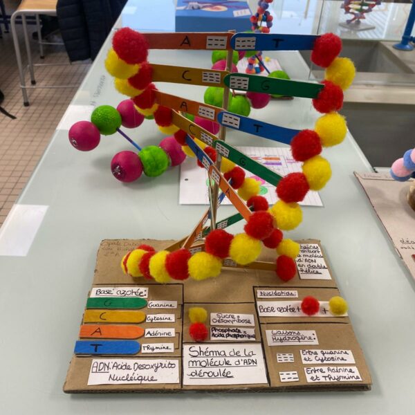 PHOTO-2026-03-16-12-54-49_5