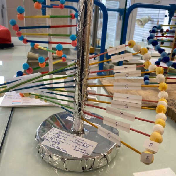 PHOTO-2026-03-16-12-54-49_6