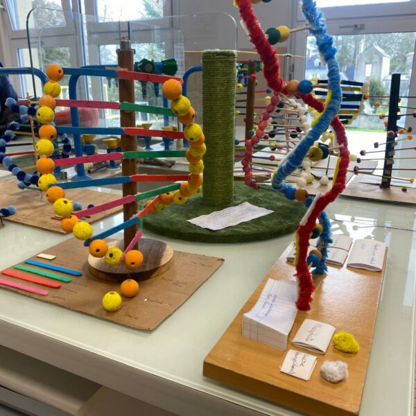 PHOTO-2026-03-16-12-54-49_8