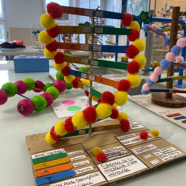 PHOTO-2026-03-16-12-54-49_9